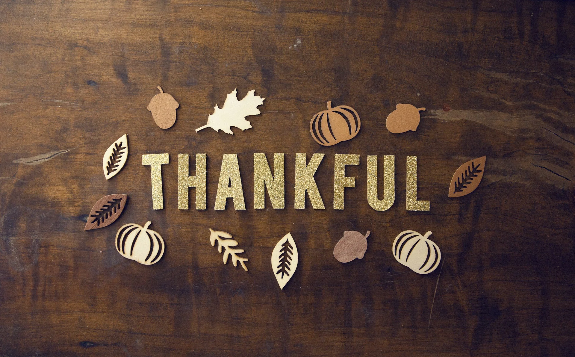 In All Things, Give Thanks