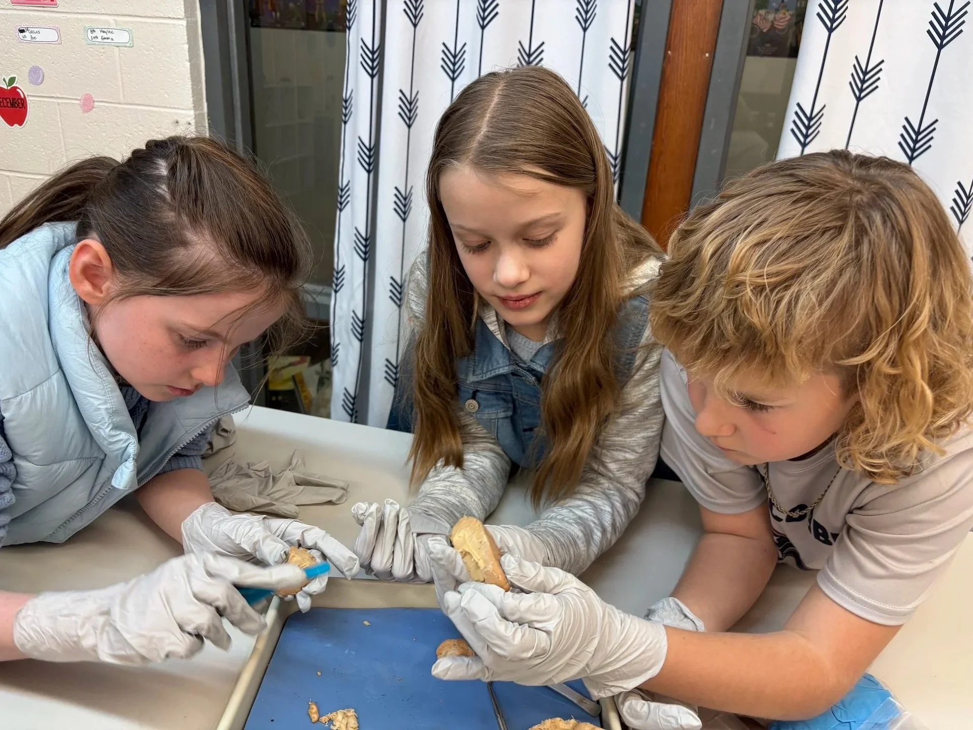 Summit students dissecting a specimen in hands-on science class