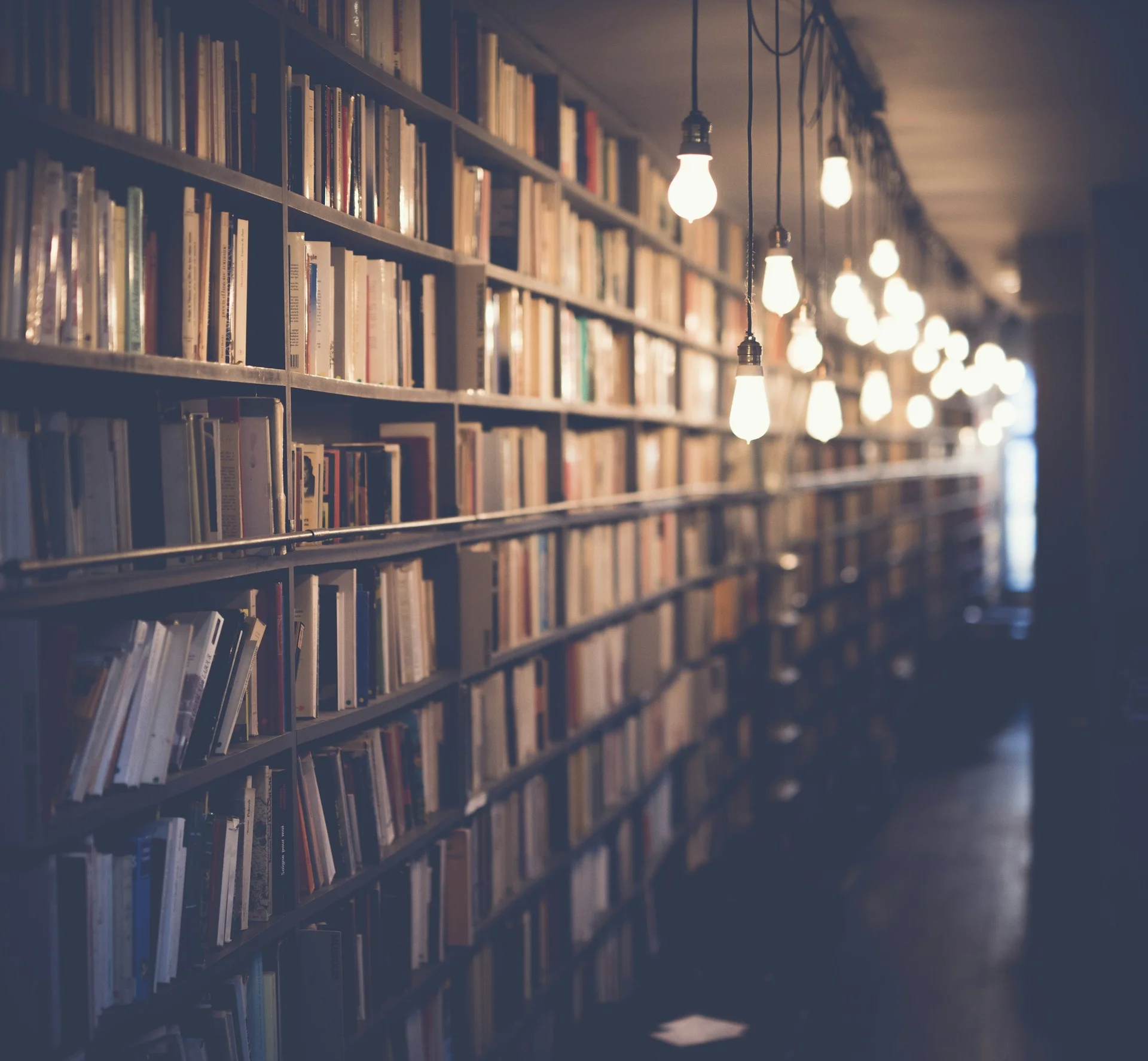 Playing the Long Game in Education